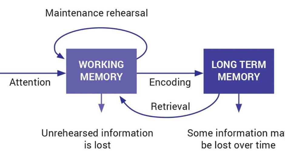Cognitive-load-theory-fig1-1024x566.jpg