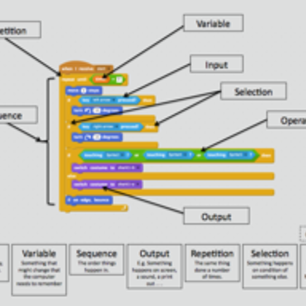Ks2 Computer Programming Target Activity for assessment of KS2 programming vocabulary
