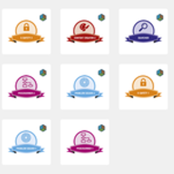 Open Badges for assessing primary computing