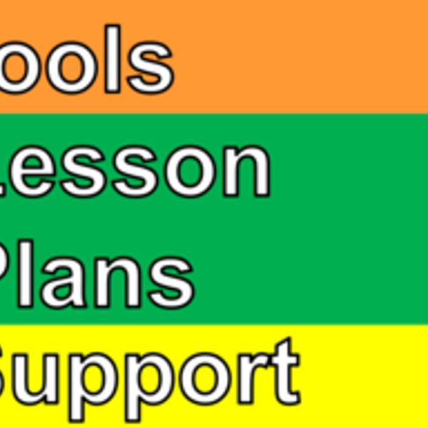 Teaching Computational Thinking To Primary Schools